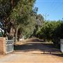 Alwyn Park Stud