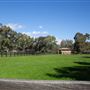 Alwyn Park Stud