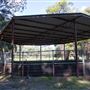 Alwyn Park Stud