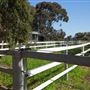 Alwyn Park Stud
