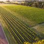 Sandalford Vineyards