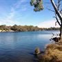 Swan River