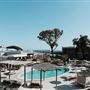 Rottnest -  Samphire Rottnest