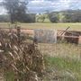 230 Woodendale Rd