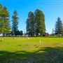 Fremantle Esplanade Park