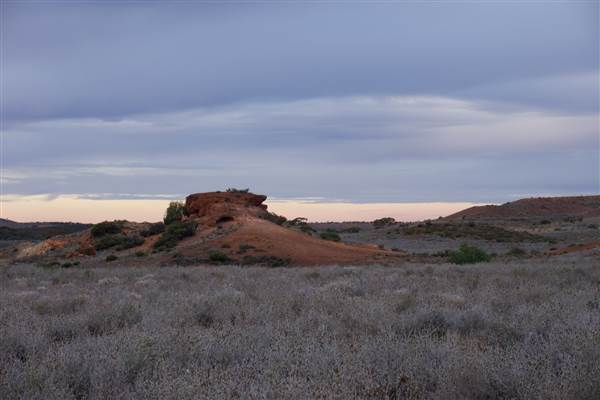 Coolgardie Outskirts (19/03/2015 - Credits: Tim Burns)