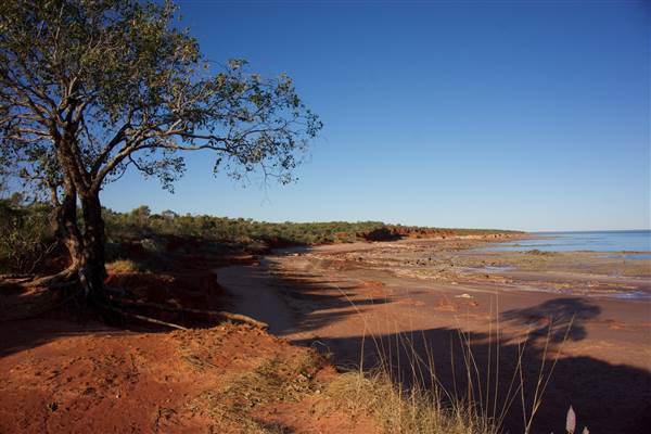 Crab Creek Road Area (19/03/2015)