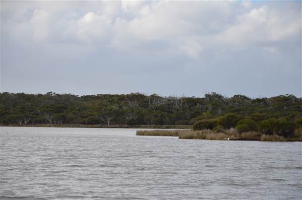 Hardy Inlet, Augusta (21/03/2015)