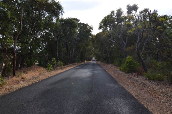 Yallingup - Wyadup Road to Indijup Beach (21/03/2015)
