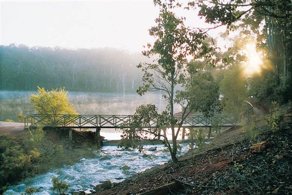 RAC Karri Valley Resort (21/03/2015)