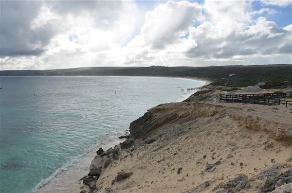 Hamelin Bay (23/03/2015)