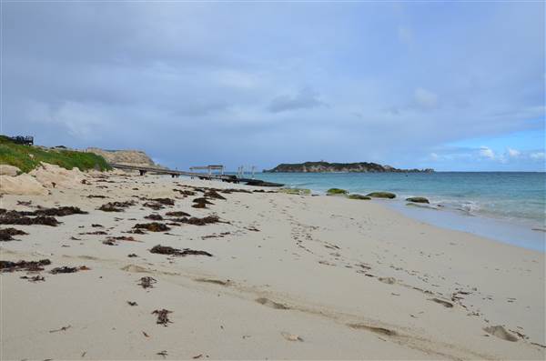 Hamelin Bay (23/03/2015)