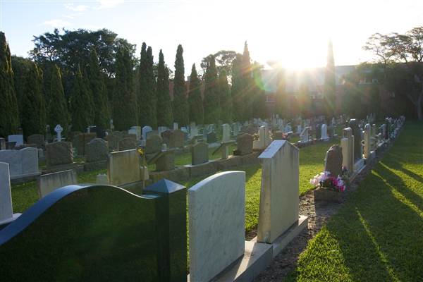 Karrakatta Cemetery (24/03/2015)