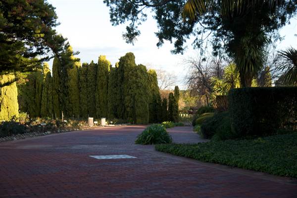 Karrakatta Cemetery (24/03/2015)