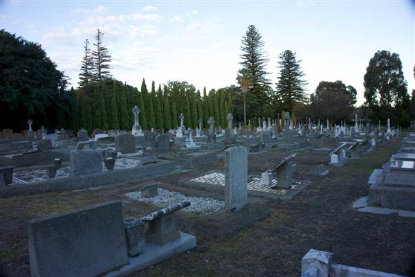 Karrakatta Cemetery (24/03/2015)