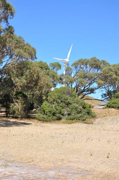 Rottnest Island (24/03/2015)
