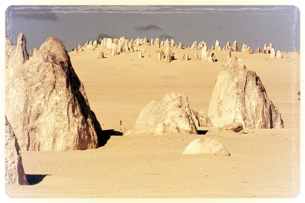 Pinnacles - Nambung National Park (25/03/2015)