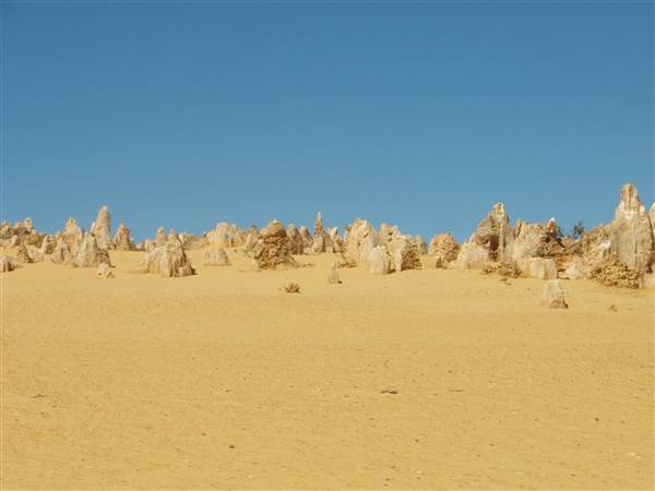 Pinnacles - Nambung National Park (25/03/2015)