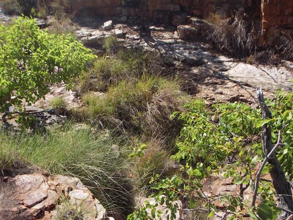 Tier Gorge (25/03/2015)