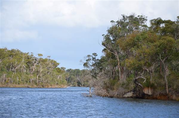 Molloy Island (26/03/2015)