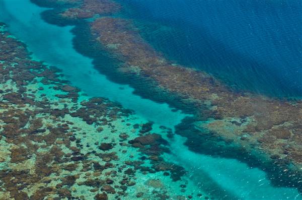 Abrolhos Islands - West Wallabi Island (15/12/2015 - Credits: Chris Veerhuis)