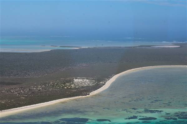 Abrolhos Islands - West Wallabi Island (15/12/2015 - Credits: Chris Veerhuis)