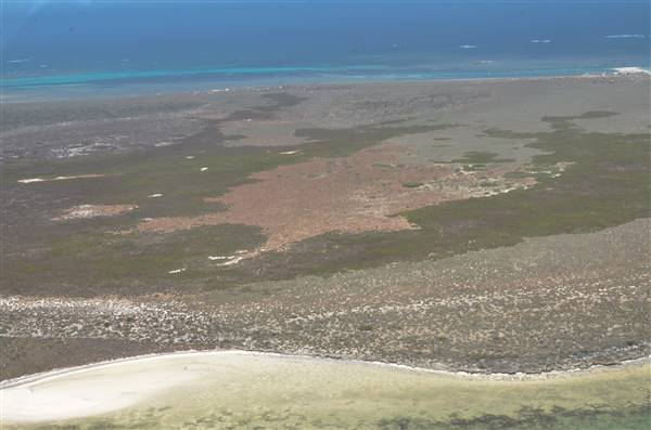 Abrolhos Islands - West Wallabi Island (15/12/2015 - Credits: Chris Veerhuis)