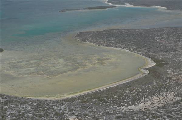 Abrolhos Islands - West Wallabi Island (15/12/2015 - Credits: Chris Veerhuis)