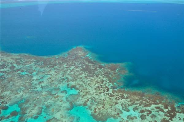 Abrolhos Islands - Pelsaert Island (15/12/2015)
