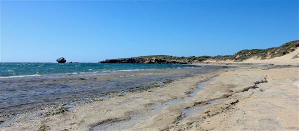 Cape Peron - Rockingham - from land (21/12/2015 - Credits: Chris Veerhuis)