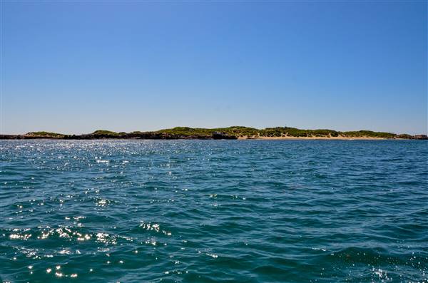 Cape Peron - Rockingham - from water (21/12/2015 - Credits: Chris Veerhuis)