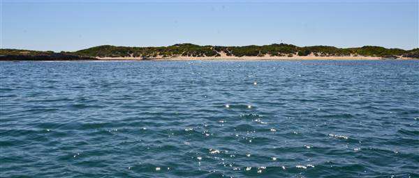 Cape Peron - Rockingham - from water (21/12/2015 - Credits: Chris Veerhuis)
