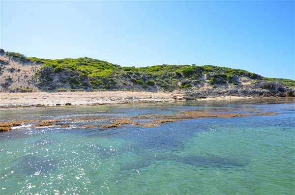 Garden Island - Point Atwick - North and South Bay from Water (22/12/2015 - Credits: Chris Veerhuis)