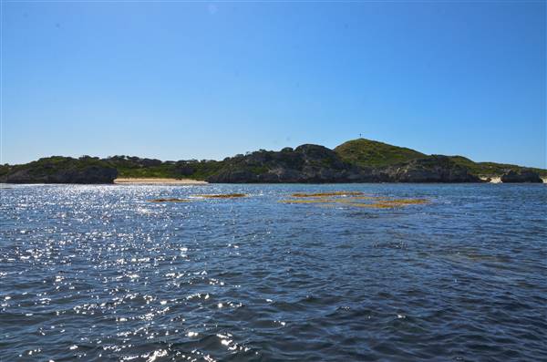 Garden Island - Calista Point - from water (22/12/2015 - Credits: Chris Veerhuis)