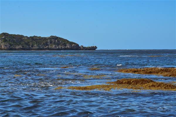 Garden Island - Calista Point - from water (22/12/2015 - Credits: Chris Veerhuis)
