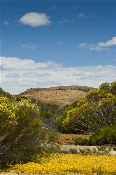 Wheatbelt Region (30/05/2016 - Credits: Tourism of Western Australia)