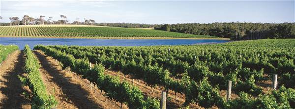 Margaret River - Leeuwin Estate Winery (15/07/2016)