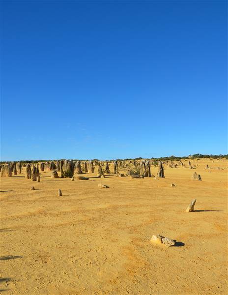 Pinnacles - Nambung National Park (27/06/2016 - Credits: Chris Veerhuis)