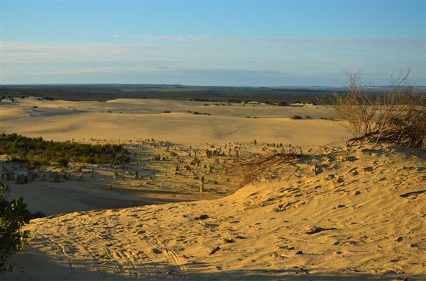 Pinnacles - Nambung National Park (27/06/2016 - Credits: Chris Veerhuis)
