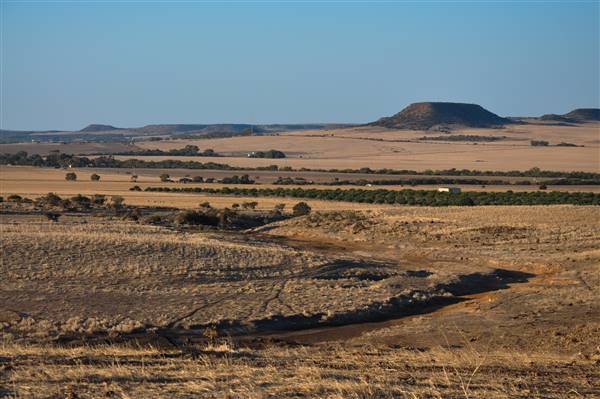 Chapman Valley - Spillman Property, Chapman Rd. (3/05/2017 - Credits: Chris Veerhuis)