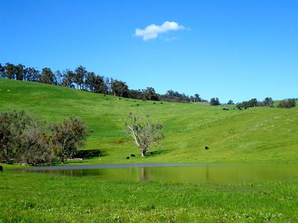 Nannup - Xmas Brook Farm (3/05/2017 - Credits: Kerrie Dunnet)