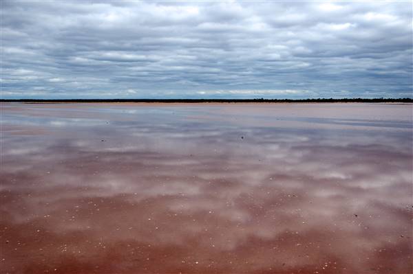 Lake Marmion (5/07/2017 - Credits: Tim Burns)
