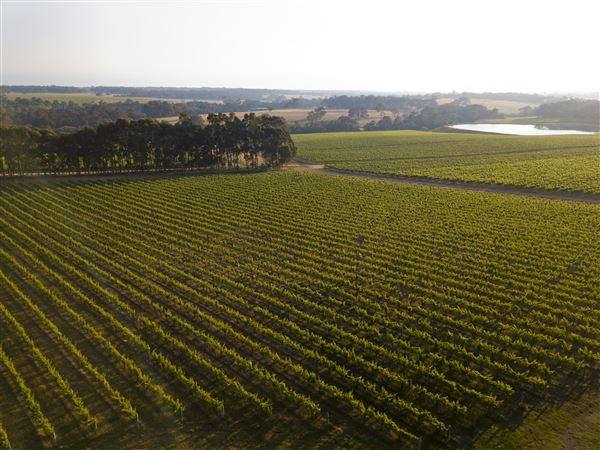 Howard Park Wines (12/07/2017 - Credits: Elements Margaret River)