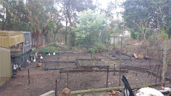 Mingah Mia Family Farm (31/05/2018 - Credits: Family members)