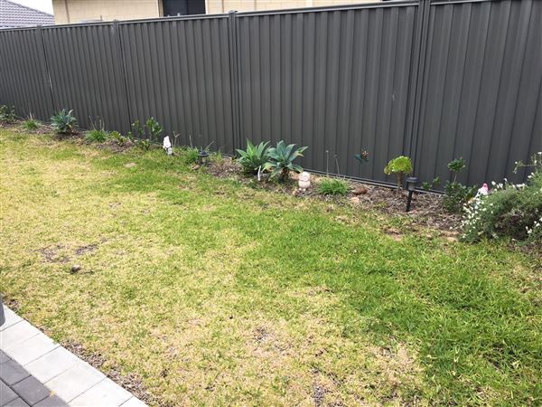 Divecha Den - Alfresco/Backyard Lawn (6/10/2018 - Credits: Dinaz Divecha)