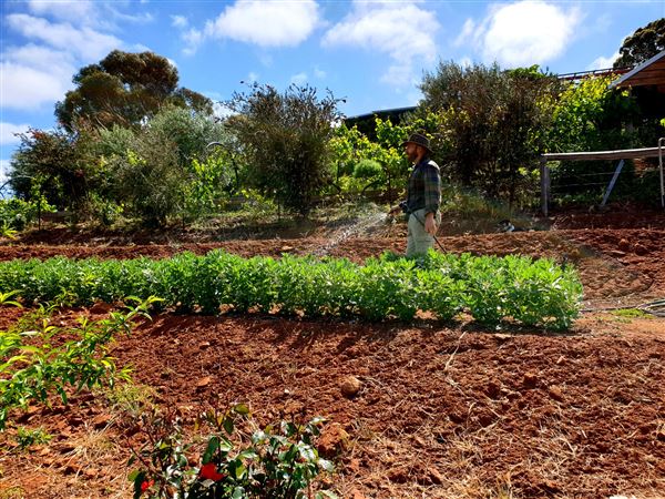 Little Hill Farm Bridgetown (10/12/2019 - Credits: Adam Roebuck)