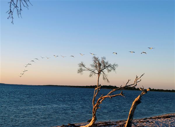 Herron Point, Birchmont - View from Herron Point beach overlooking the Peel-Harvey Estuary (1/03/2015)