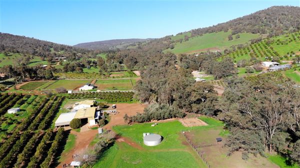The Orchard Perth Pty Ltd (1/07/2020 - Credits: The Orchard Perth Pty Ltd)