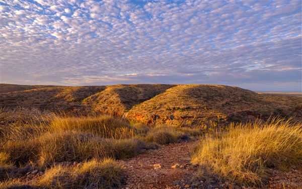 Sal Salis (16/02/2023 - Credits: Tourism Western Australia)