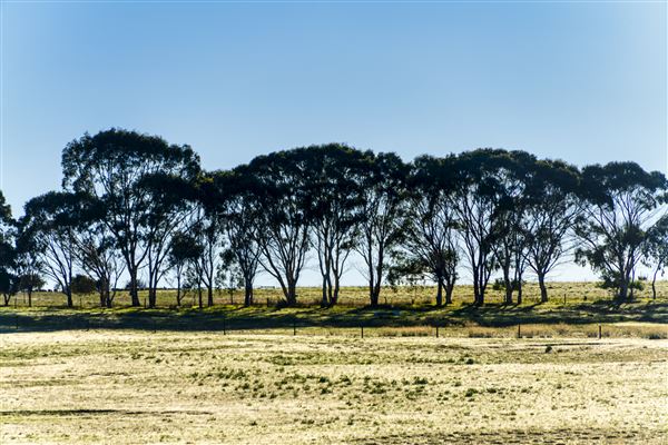 Esperance (3/04/2023 - Credits: Ian Brodie)